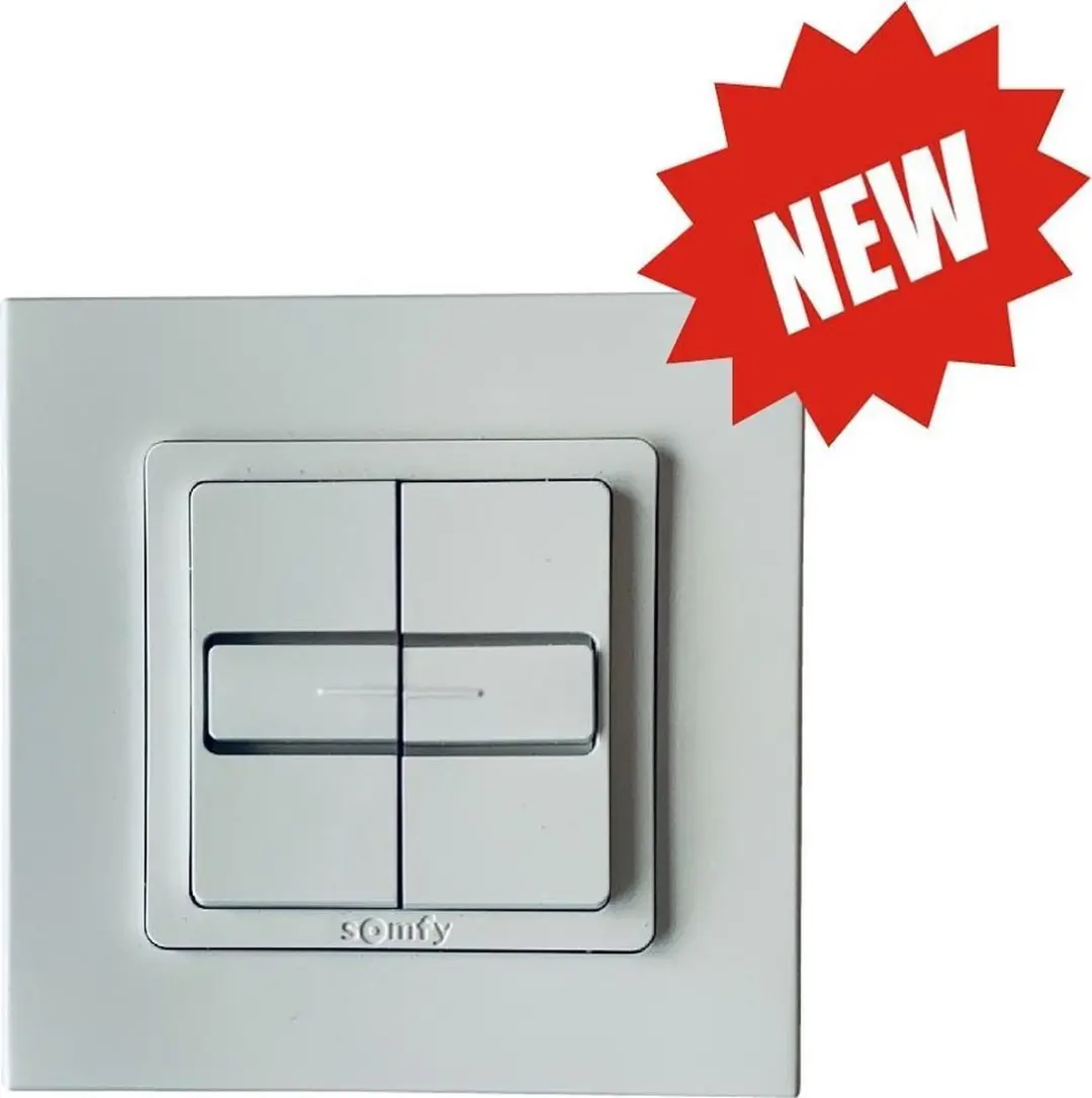Somfy Inis Duo Inbouw Drukknop - 200W - Grijs/Wit
