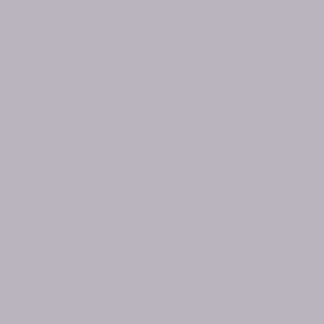 Histor MY Color Muurverf Ash Grove 1L - Grijs