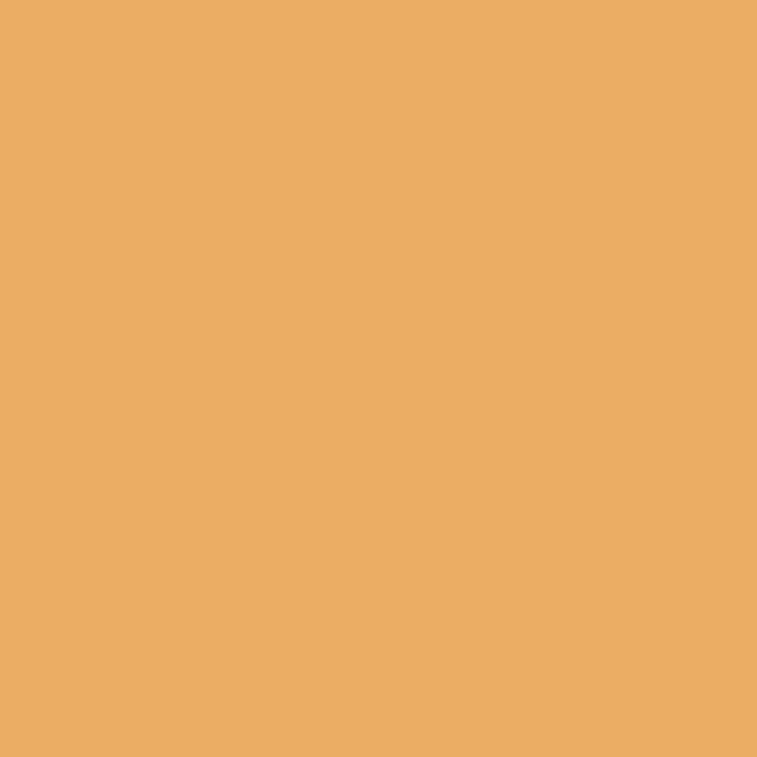 Sikkens - Tester - E8.38.68 - Mengverf - 30 Ml