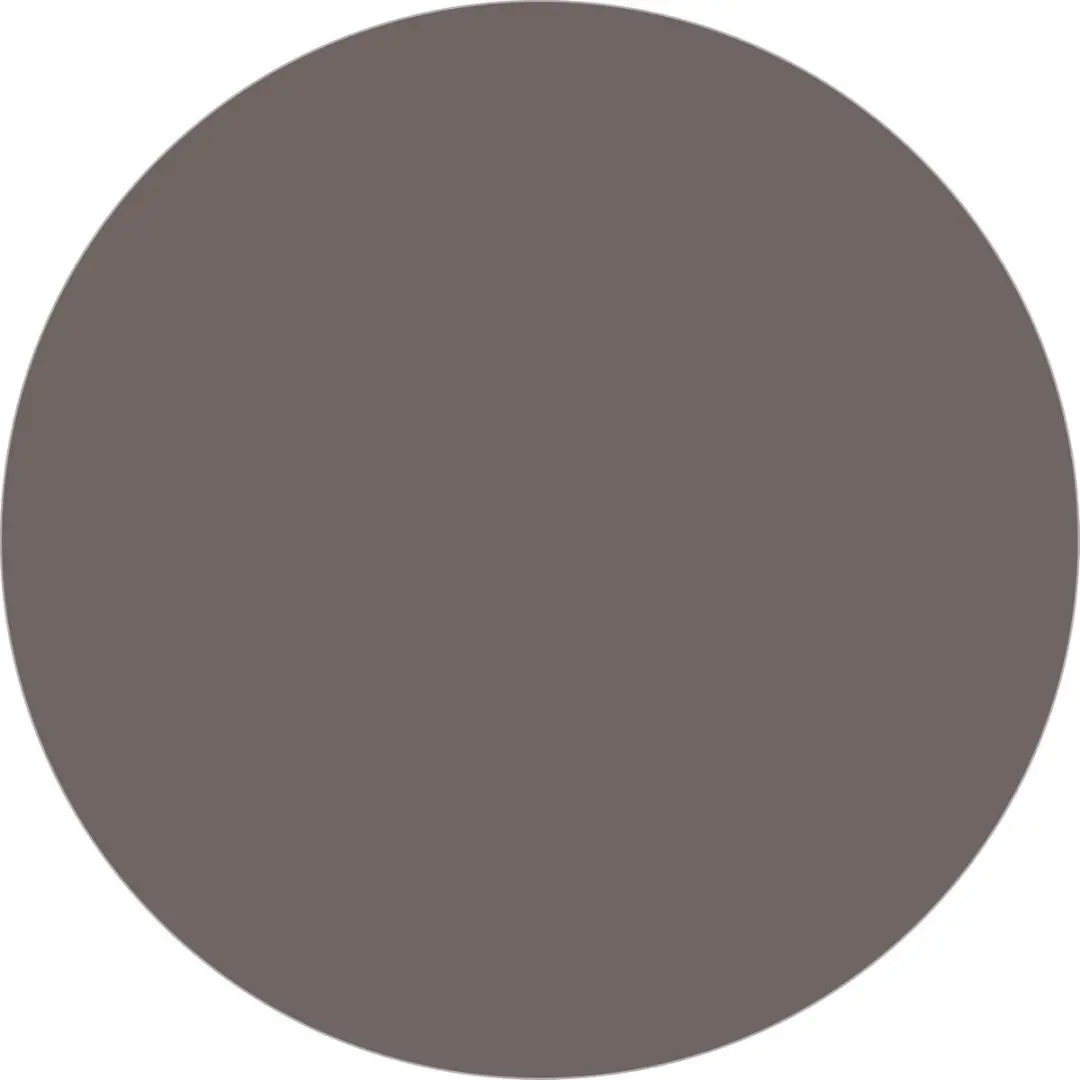 Histor The Color Collection Muurverf Hare Brown 2,5L