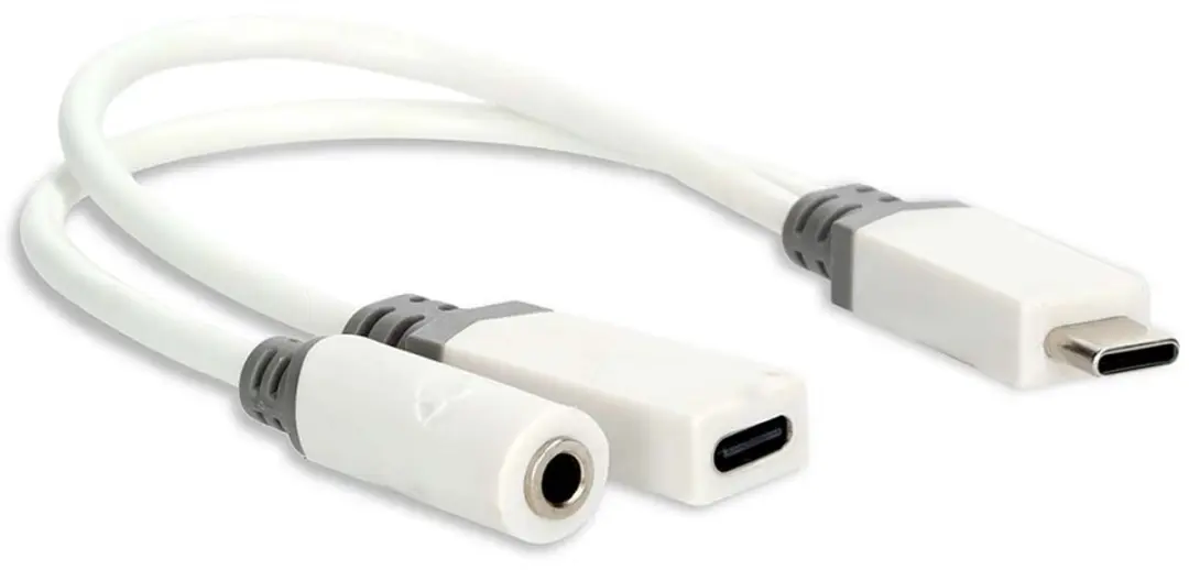 Nedis CCBW64922WT01 USB-C Adapter - 10cm - Verguld - Wit