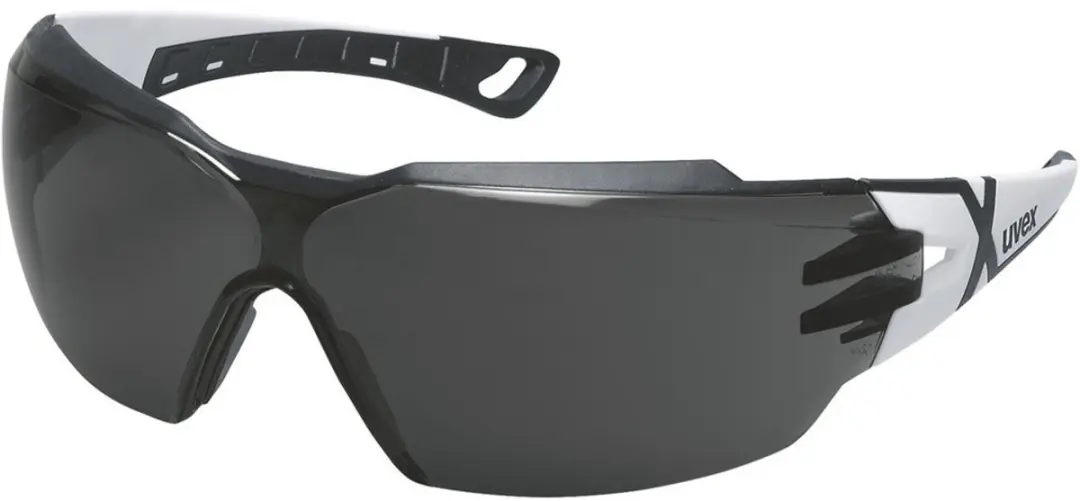 Uvex Pheos CX2 CBR23 Veiligheidsbril