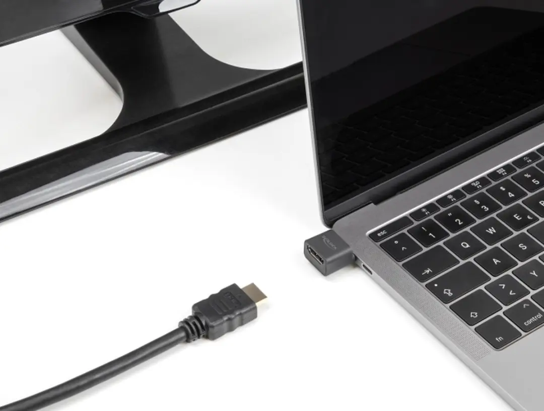Delock USB Type-C naar HDMI Adapter 4K - Zwart