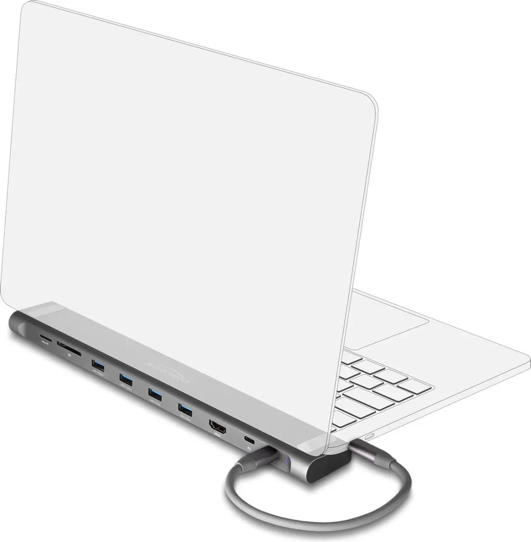 Delock USB Type-C Slim Docking Station 87895 - Zwart/Grijs