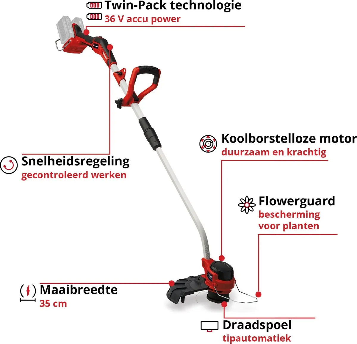 Einhell Accu Grastrimmer GP-CT 36/35 Li Solo - 36V - 35cm