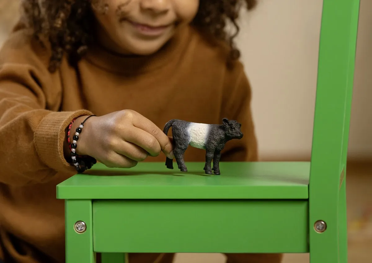 Schleich Farm World Galloway Kalf 13969 - Zwart/Wit