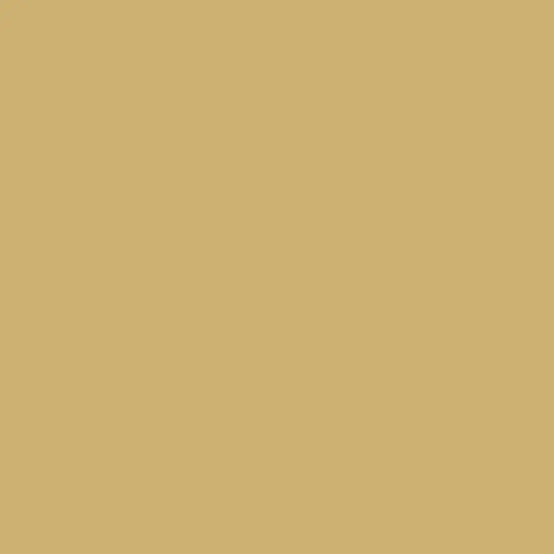 Flexa Pure by FlexaColorLab Kleurtester Real Olive 0.03L