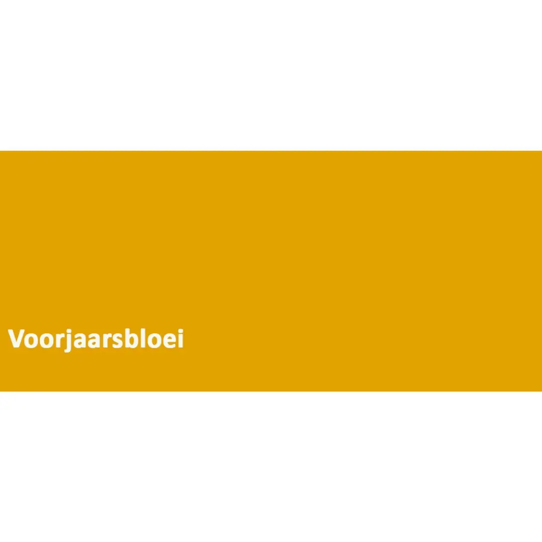 Koopmans Acryl Super Satin Zijdeglans Muurverf 5L - Voorjaarsbloei