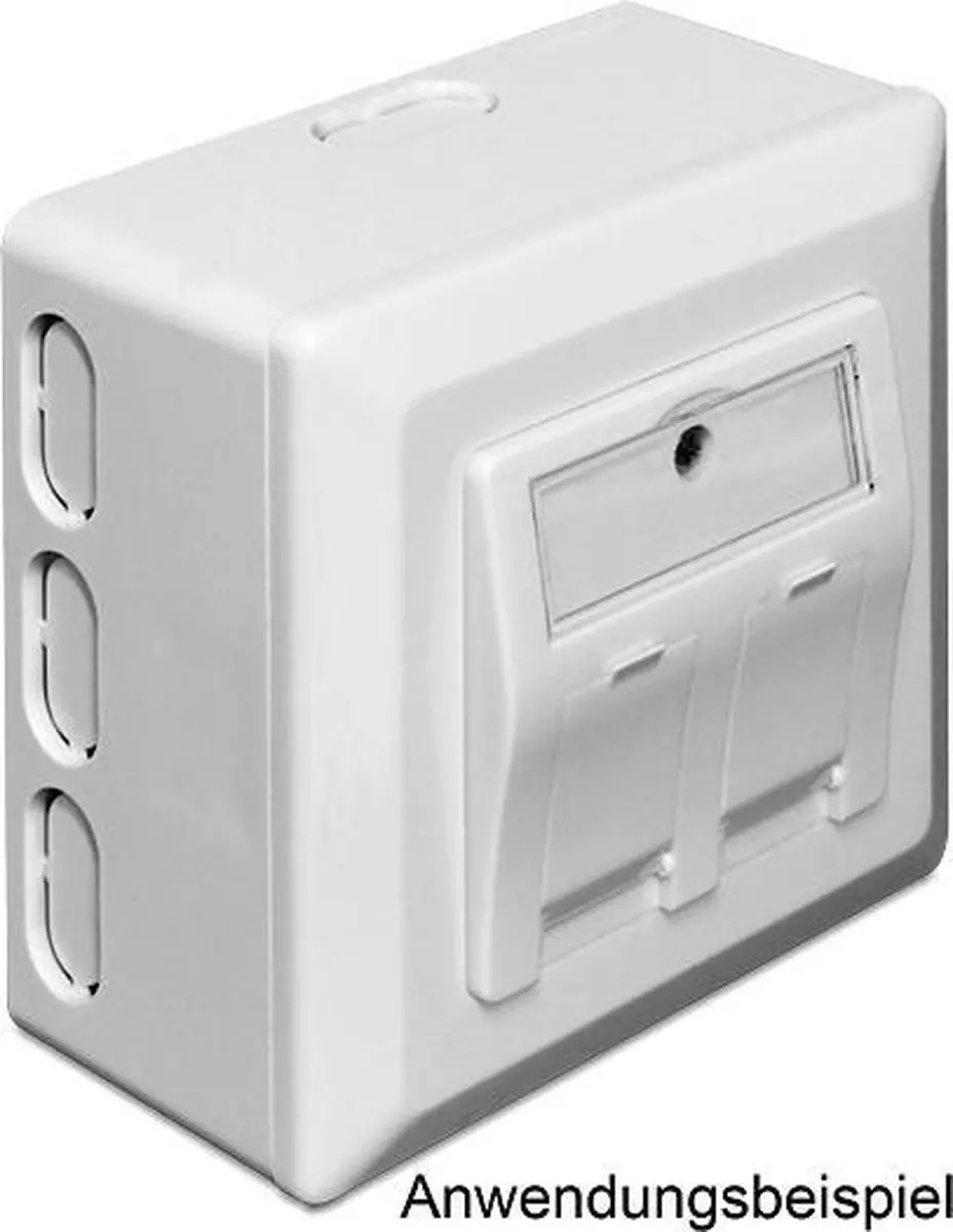 Delock Wandcontactdoos Opbouwrand 8x - Wit