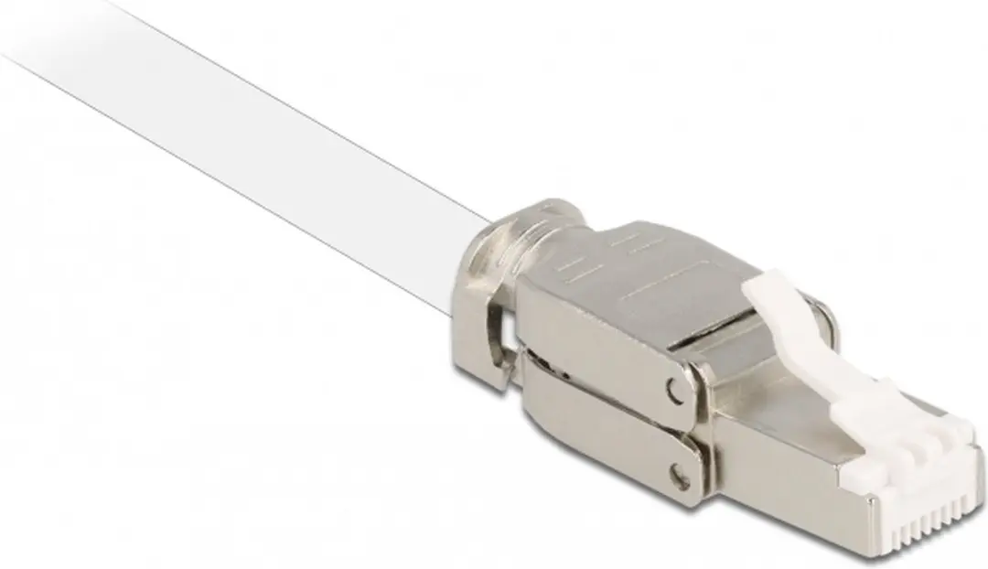Delock RJ45 Cat.6A STP-stekker - Zilver