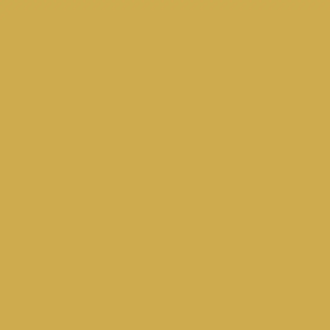 Flexa Pure by FlexaColorLab Kleurtester Full Mustard - Mengverf 0.03L