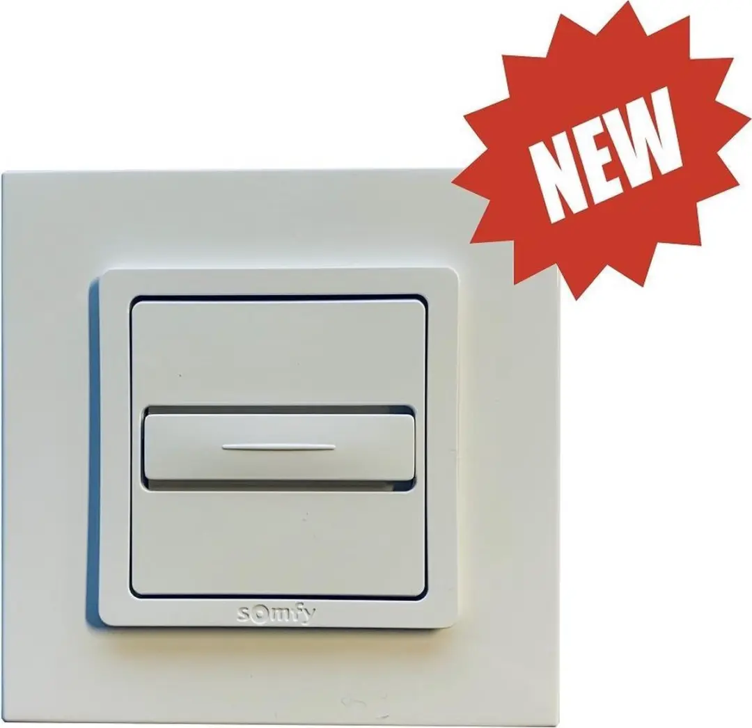 Somfy Inis Uno Inbouw Drukknop - 200W - Grijs/Wit