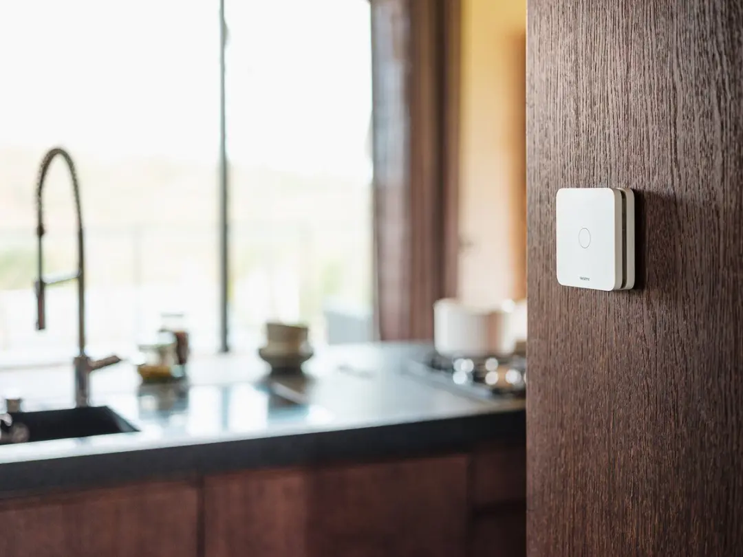 Netatmo Slimme Koolstofmonoxidemelder - 10 Jaar Batterij - Wit