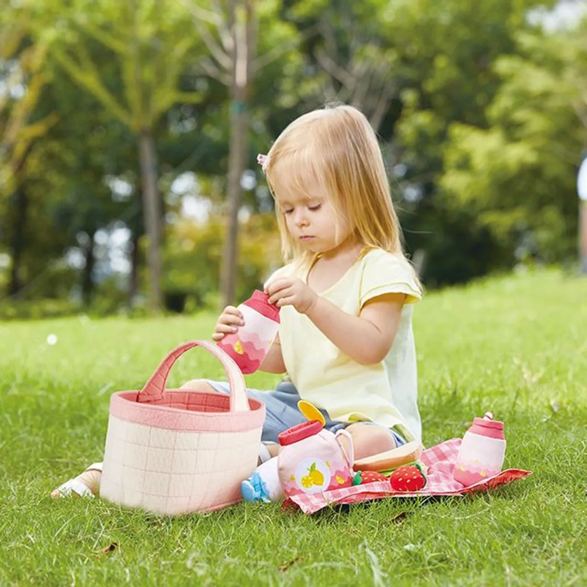 Picknick-Korb