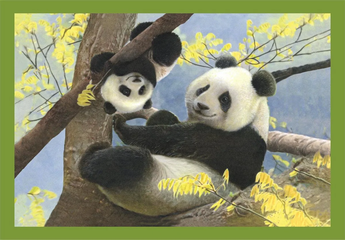 Clementoni Baby Dieren Kinderpuzzel 4-in-1 72 Stuks