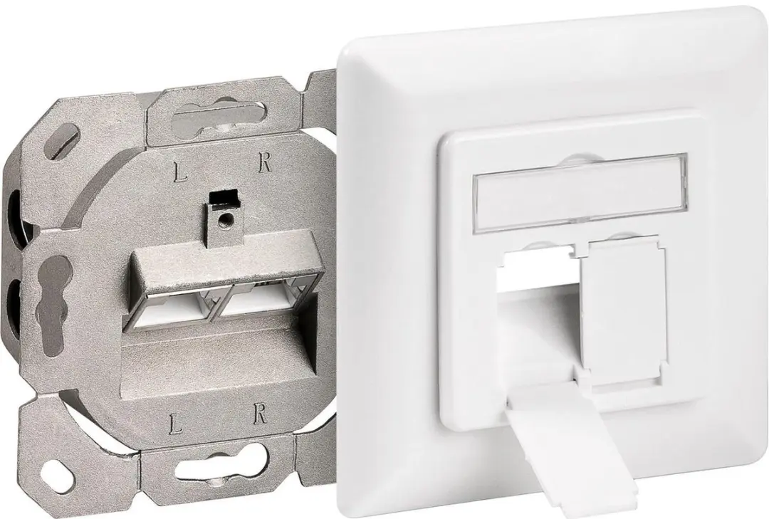 Goobay CAT 6A Wandcontactdoos 2x RJ45 - Signaalwit RAL 9003