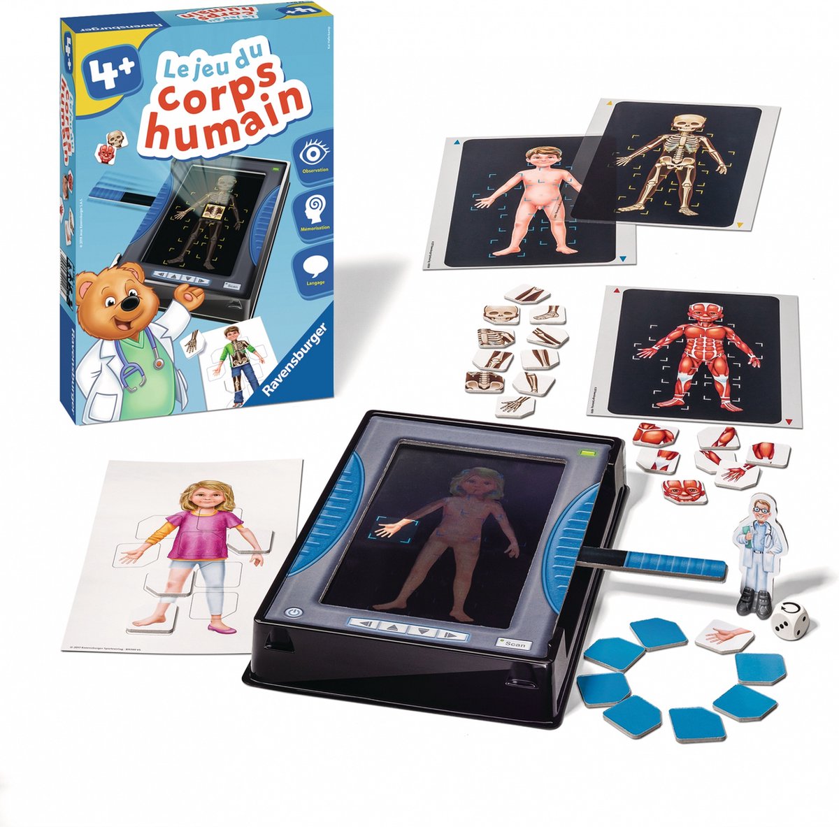 Ravensburger – Spiel des menschlichen Körpers, 24116