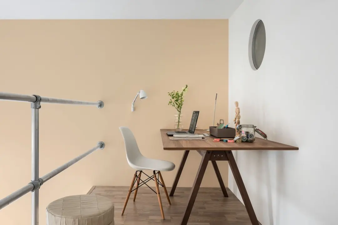 Flexa Creations Muurverf Zijdemat Iets Pompoen 2,5L