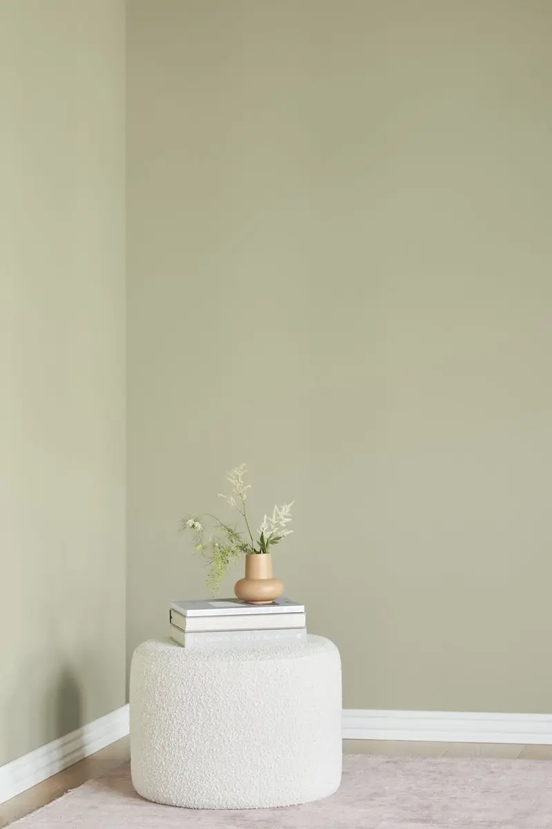 Histor MY Color Muurverf Extra Mat Olive Sprig - 2.5L