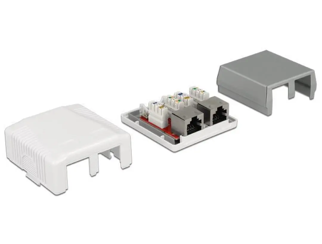 Delock CAT6a Netwerkuitvoerdoos 2x RJ45 - Wit