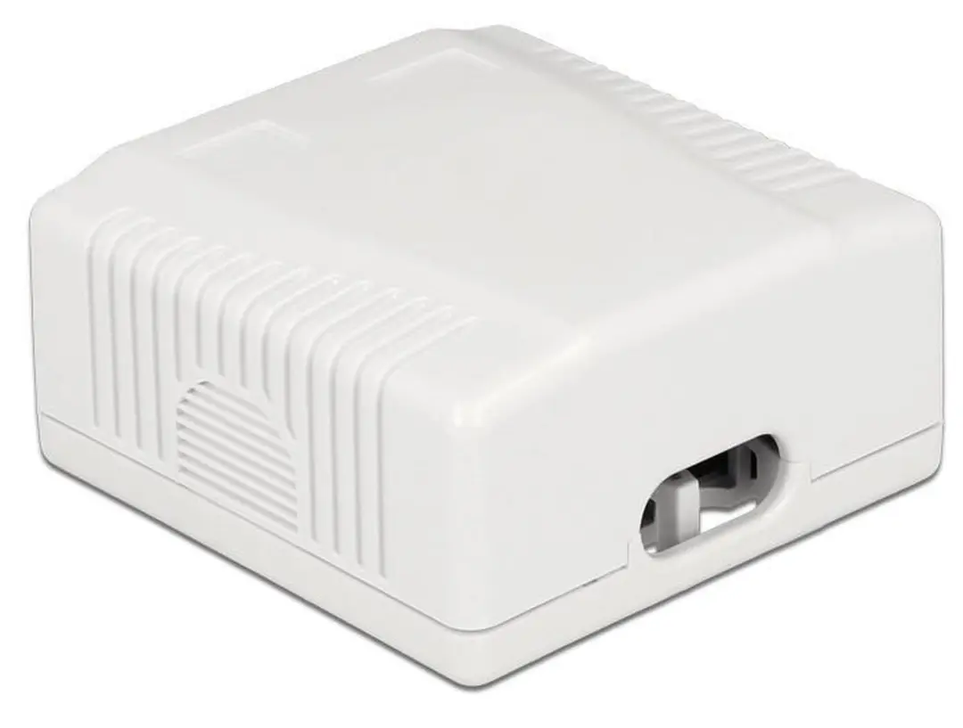 Delock CAT6a Netwerkuitvoerdoos 2x RJ45 - Wit