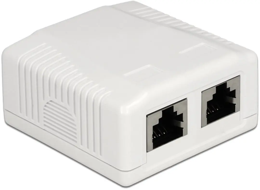 Delock CAT6a Netwerkuitvoerdoos 2x RJ45