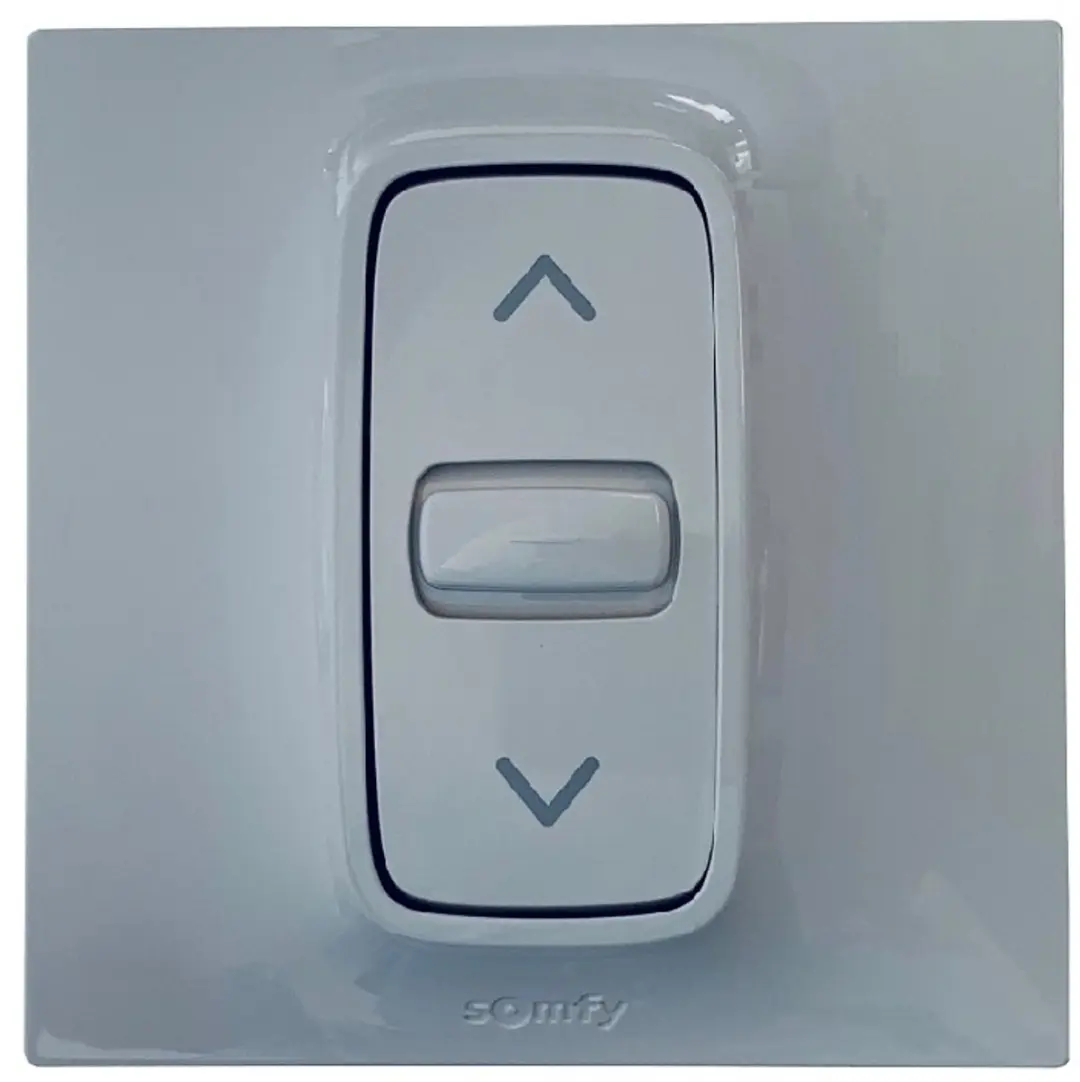 Somfy Inis Keo Inbouw Drukknop - 200W - Grijs/Wit