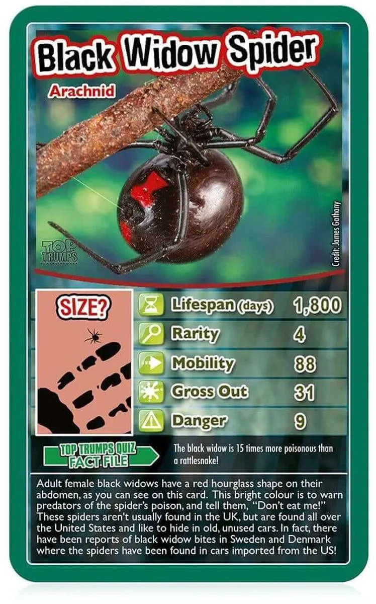 Winning Moves Top Trumps Bugs Kaartspel - Multicolor