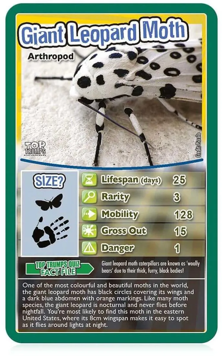 Winning Moves Top Trumps Bugs Kaartspel - Multicolor