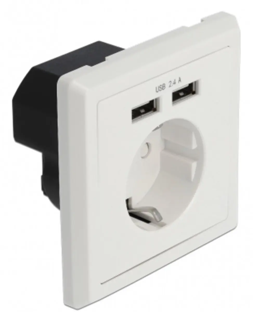 Delock Muurbus met 2x USB-A 2.4A