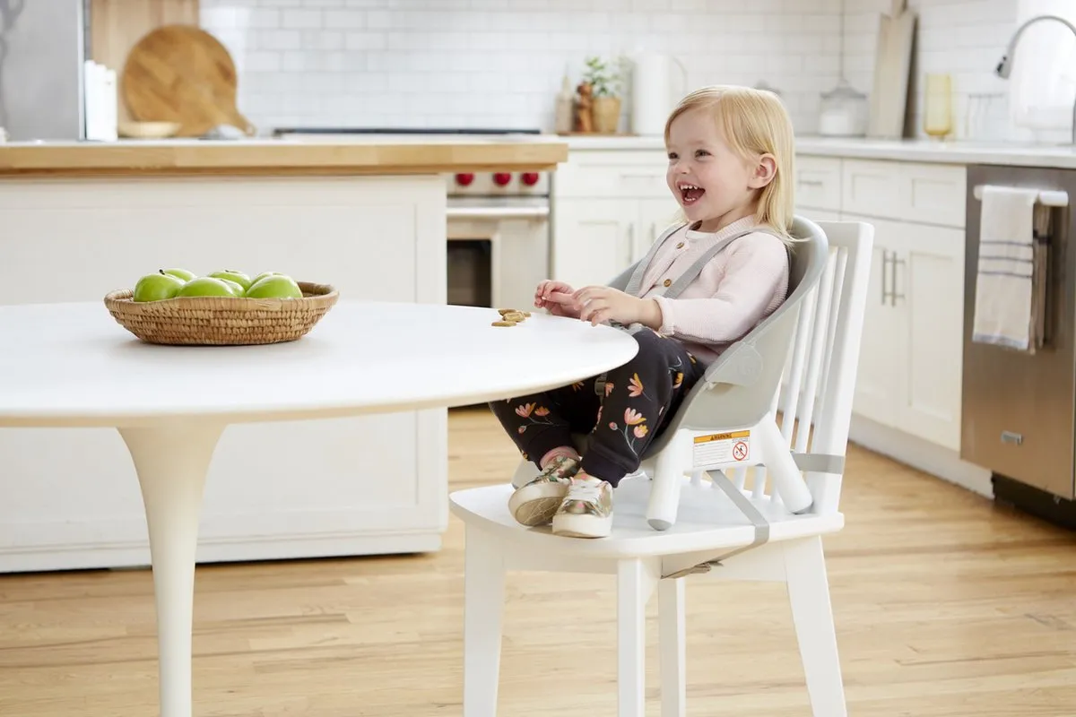 Skip Hop 4-in-1 Multi-Stage Kinderstoel - Modern Design - Veelkleurig