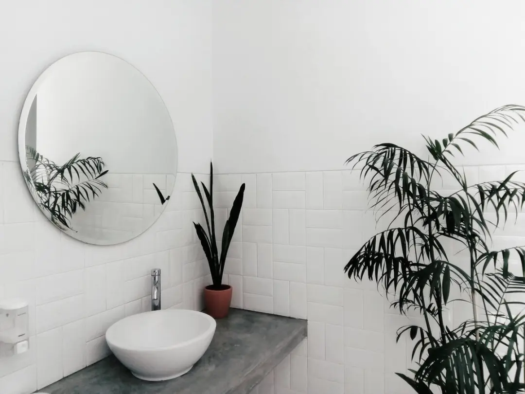 Histor Monodek Badkamer Muurverf 2,5L - Wit