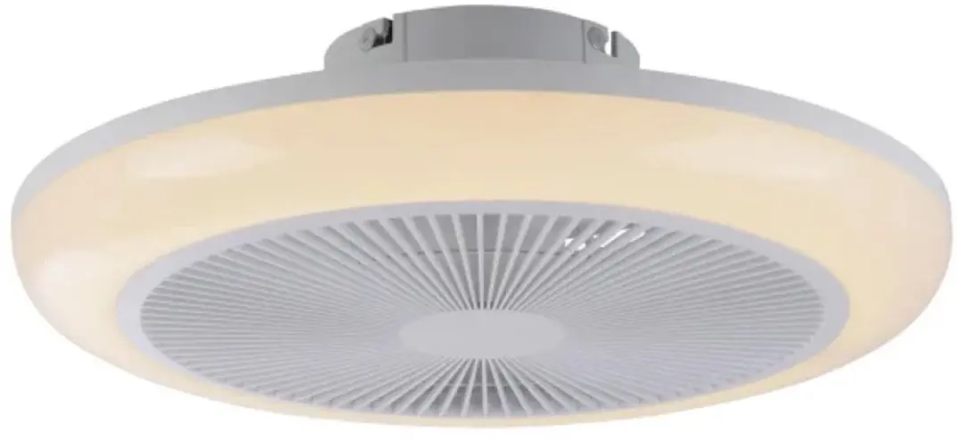 Paul Neuhaus Brenda Plafondventilator 46cm RGB - Wit - afbeelding 4 van 6