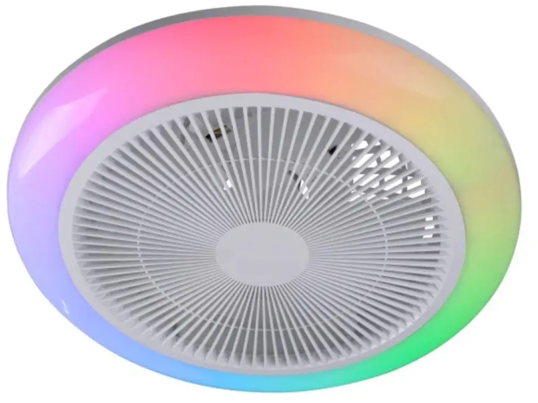 Paul Neuhaus Brenda Plafondventilator 46cm RGB