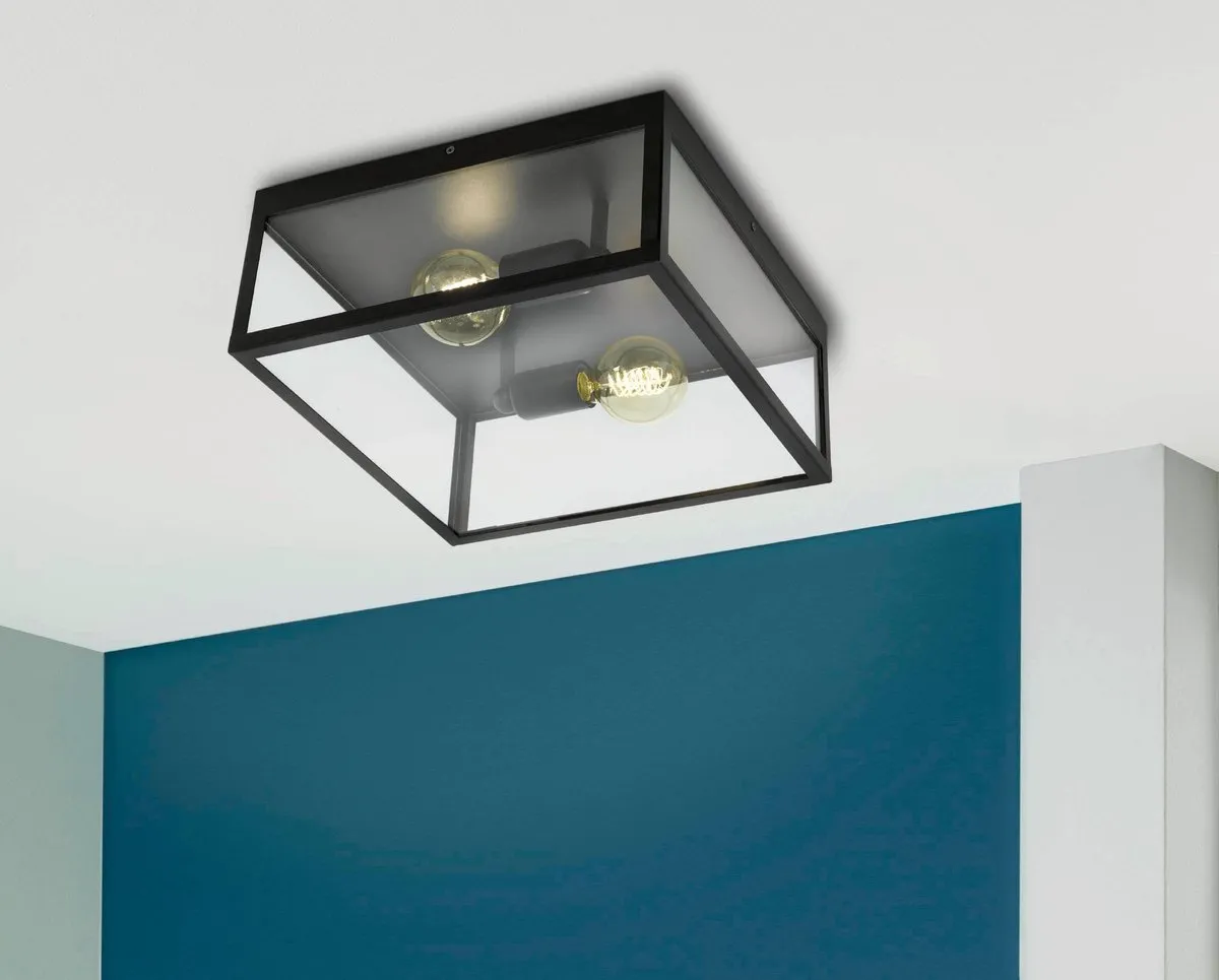 Eglo Charterhouse Plafondlamp E27 - 2 Lichtpunten - Zwart