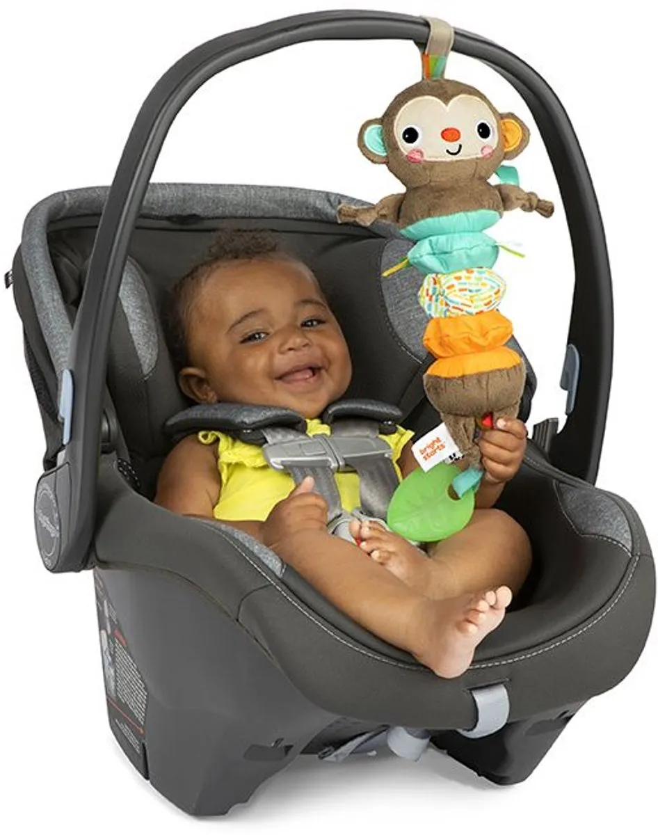 Bright Starts Play 'n Boogie Aap Muziekdoosje - Multicolor