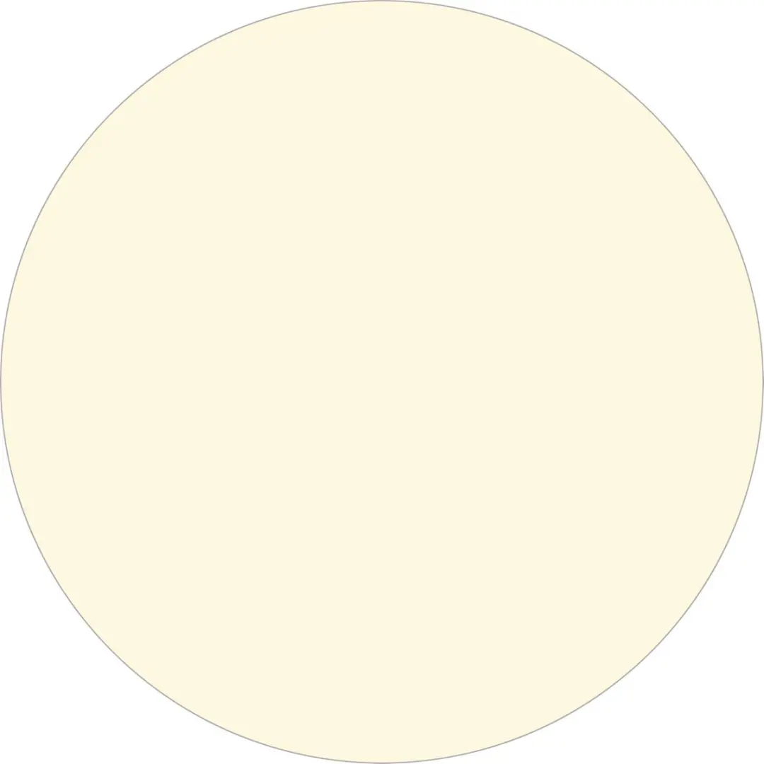 Histor The Color Collection Muurverf Angel White 2,5L