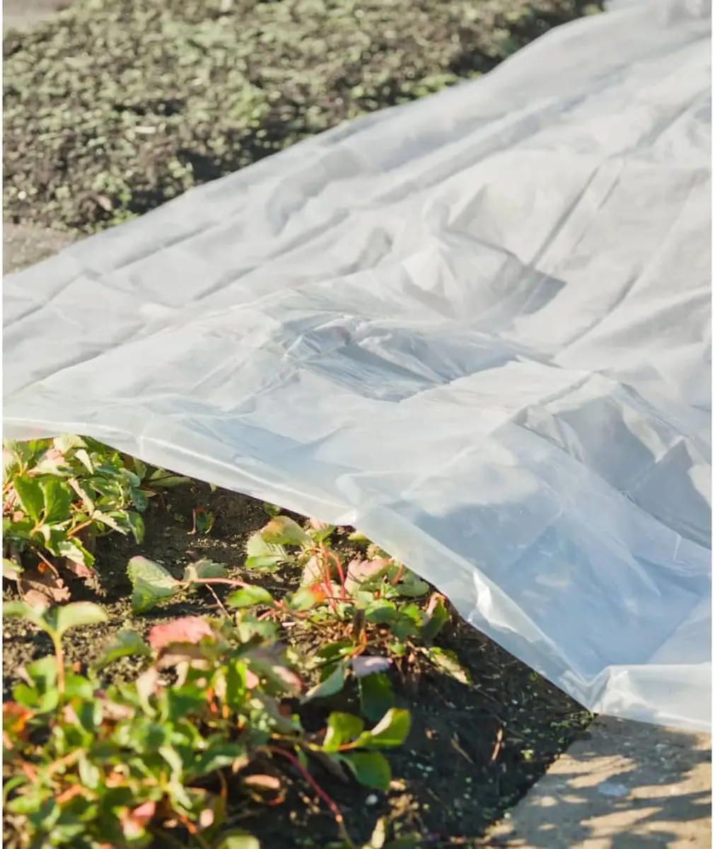 Nature Groeifolie 3x4m 100μ Transparant