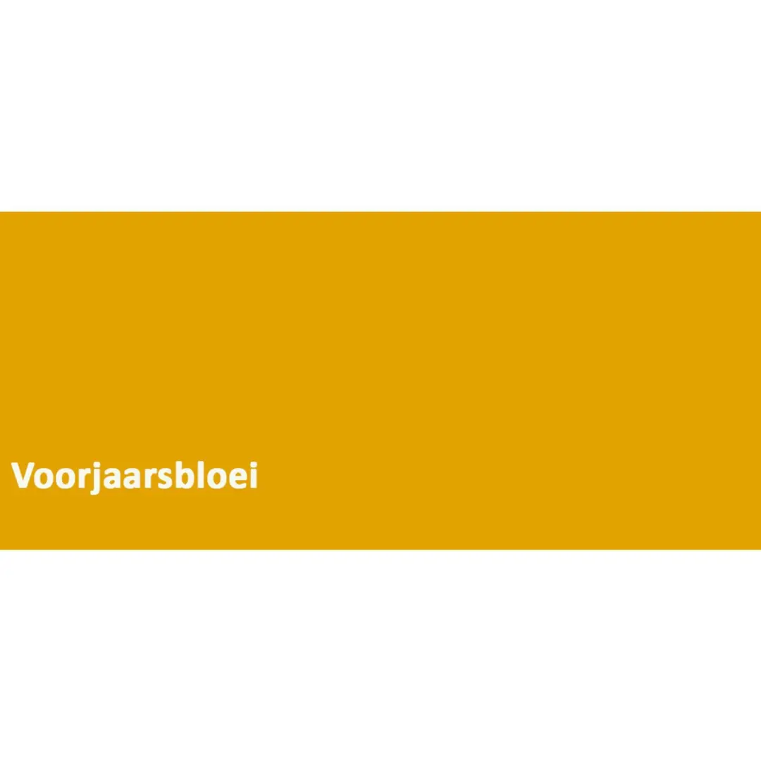 Koopmans Acrylmat Super Matte Muurverf 5L - Voorjaarsbloei