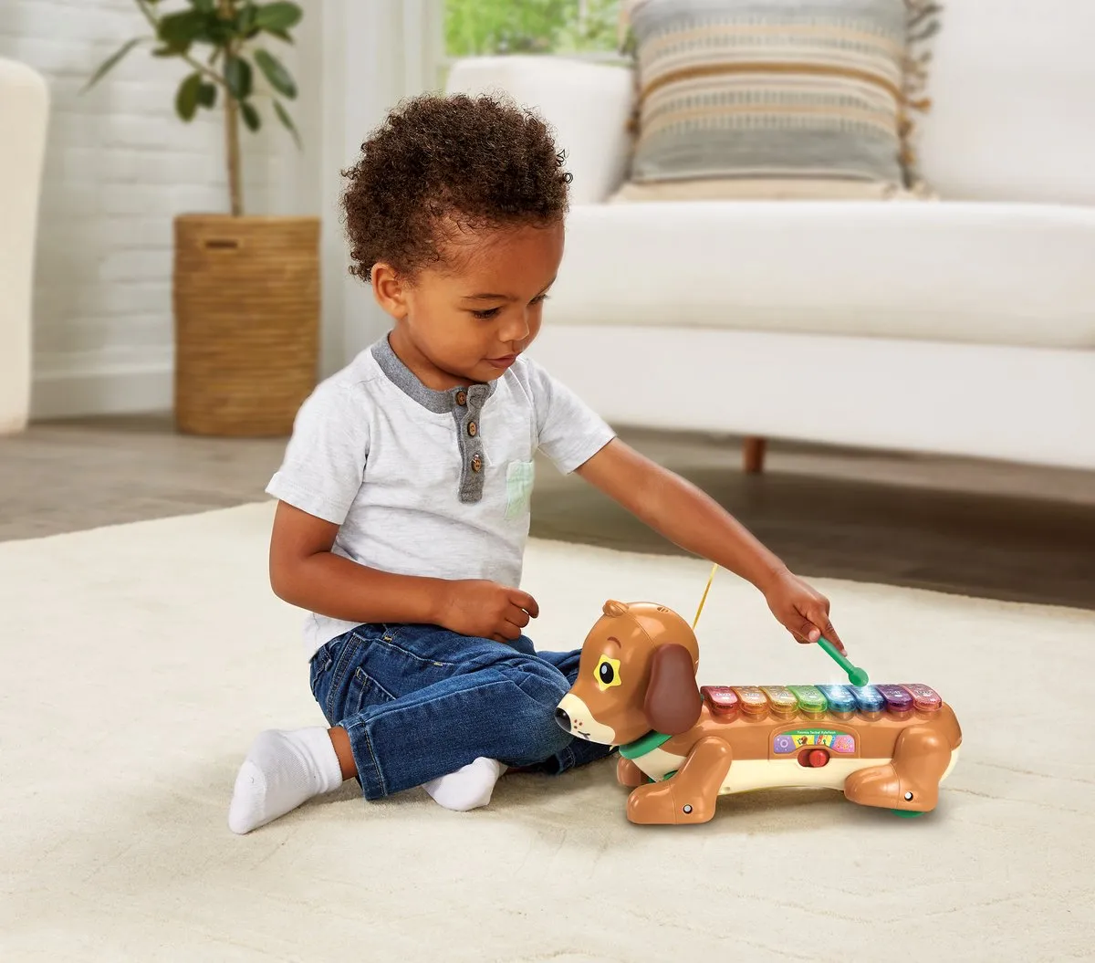 VTech Baby Timmie Teckel Xylofoon Multicolor