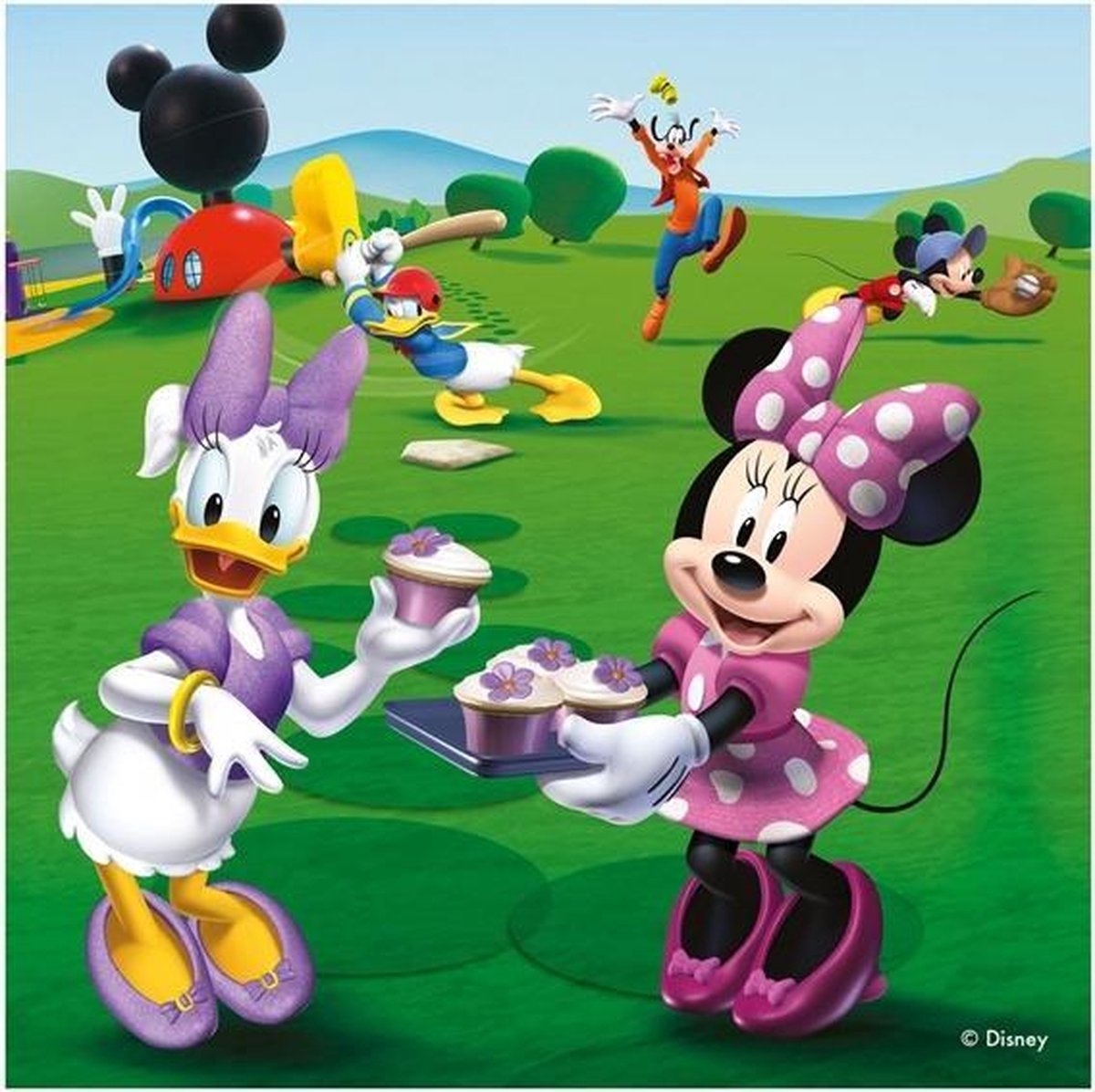 Ravensburger 4005556072149