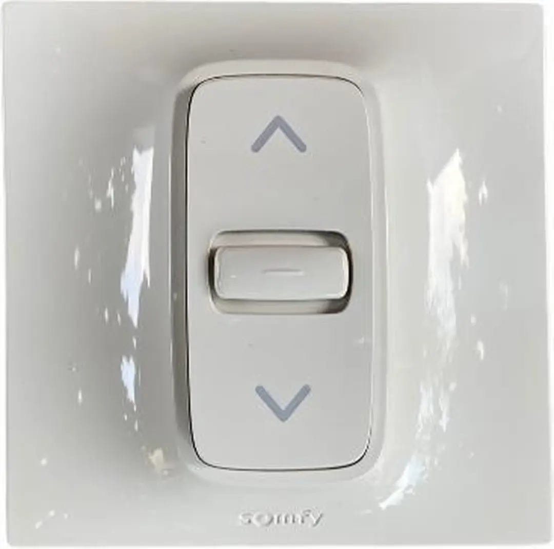 Somfy Inis Inbouwschakelaar 400W