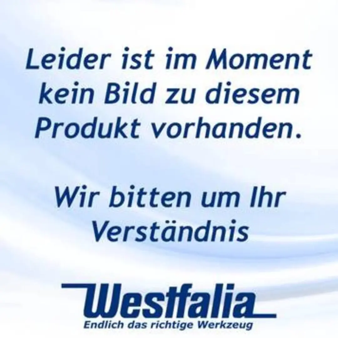 Westfalia Platte Kwast - Rood