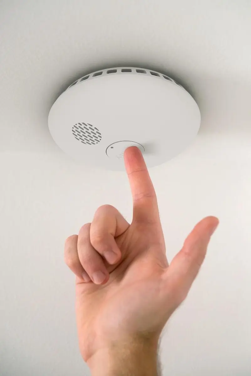 Somfy Protect Rookmelder - Wit