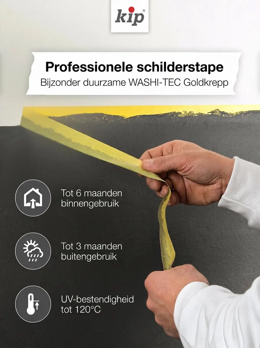 Kip Afplakband Fine Line 3308 - Meerkleurig
