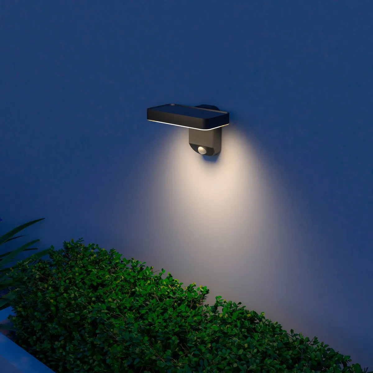 Calex Smart Outdoor Wandlamp RGBW Zwart