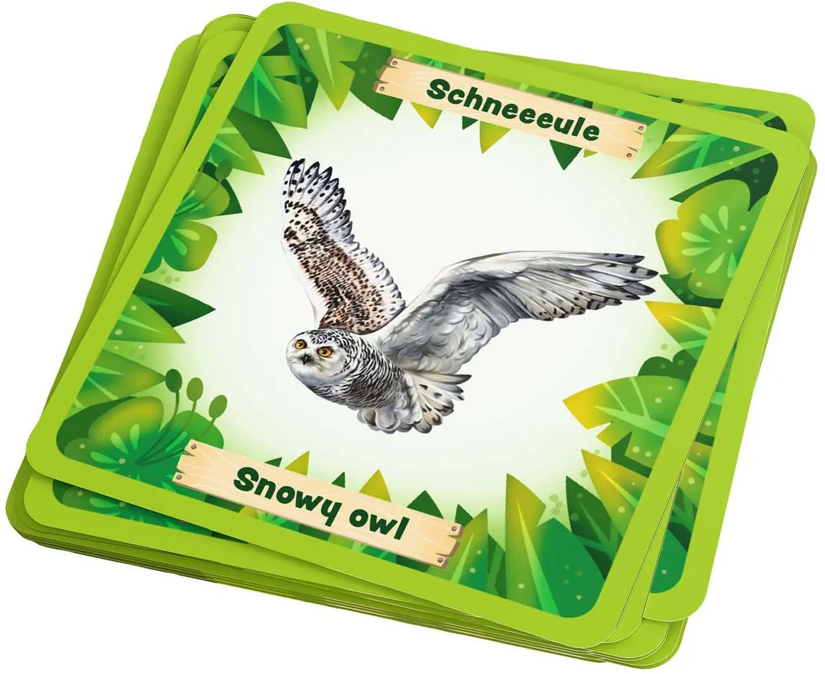 Haba Animals Around the World Bingo - 2 tot 4 spelers