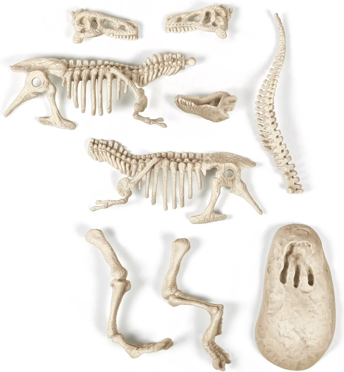 Clementoni Archeospel T-rex 66695 Opgravingsset - Multi Kleur
