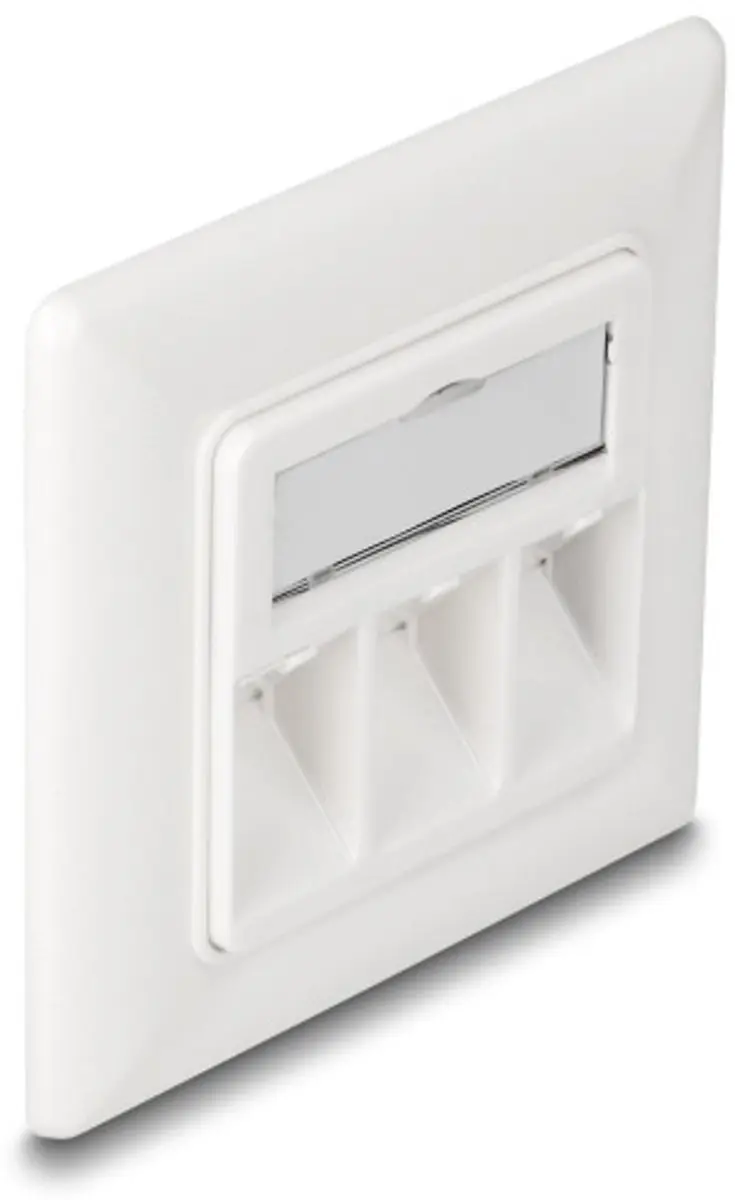Delock Wandcontactdoos 3x Keystone Modules - Wit