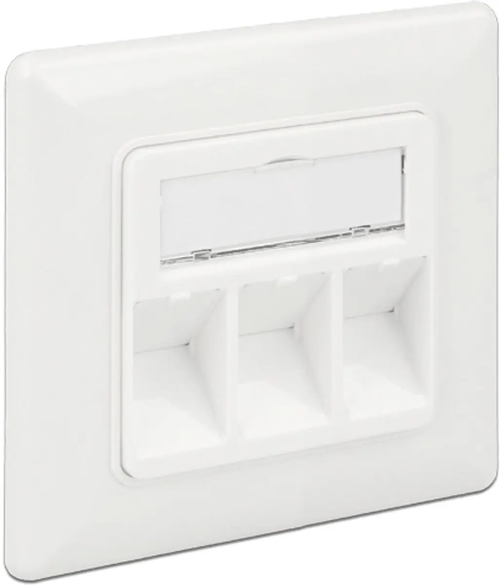 Delock Wandcontactdoos 3x Keystone Modules - Wit